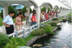 Organizations visiting